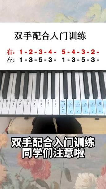 电子琴入门教程