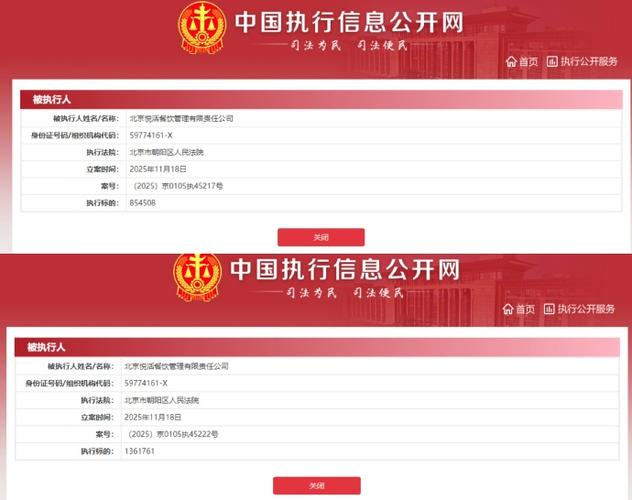 中国执行官方网app