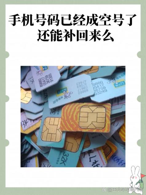 手机号丢了能补办原号码吗
