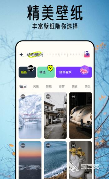 安卓壁纸软件哪个好