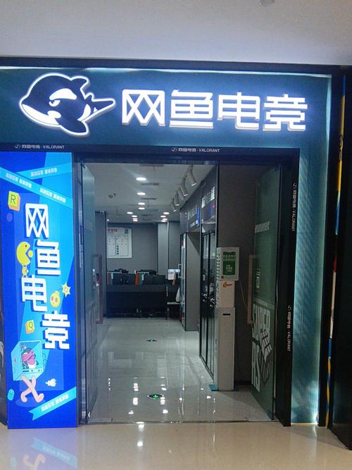 网鱼网咖属于什么档次