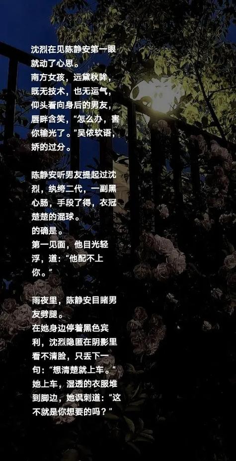 小说炽烈