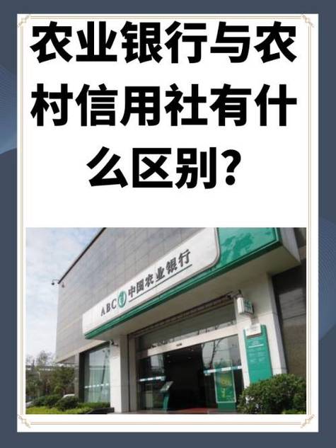 农村信用社可以绑定微信支付吗