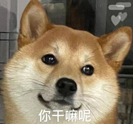 你起来干嘛