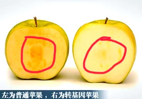 华为手机资料怎么传到苹果手机