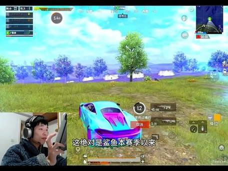 和平精英鲨鱼的视频