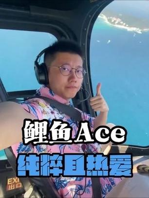 胖胖的游戏主播