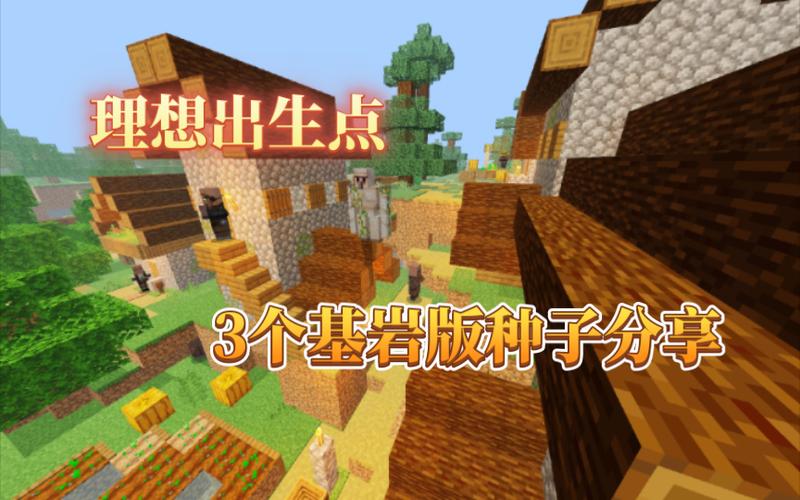 基岩版最富种子