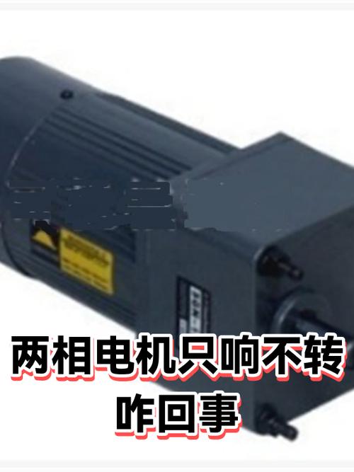 电机只嗡嗡响不转怎么回事
