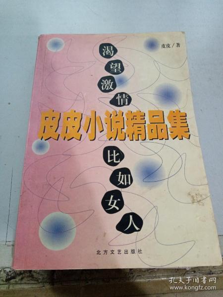皮皮小说网