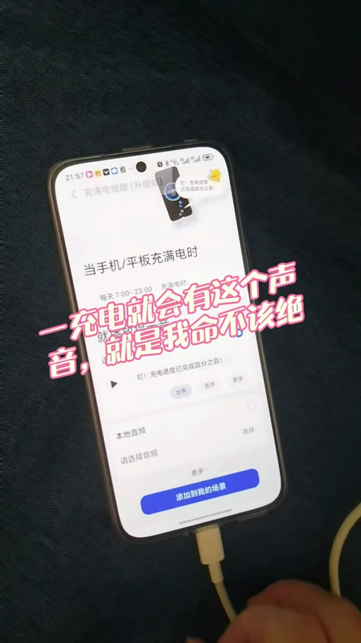 设置充电完成提醒