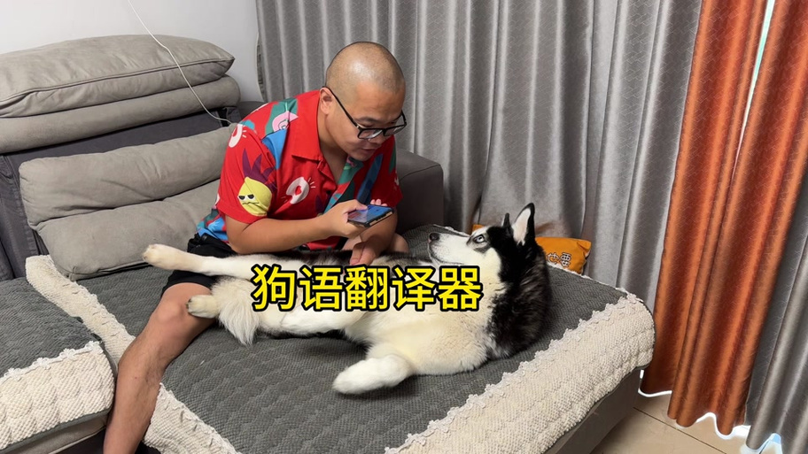 在线翻译狗语