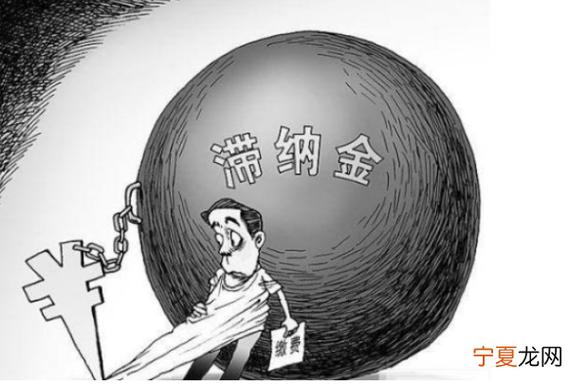 滞纳金自动计算器
