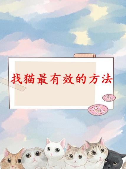 找猫很灵的方法