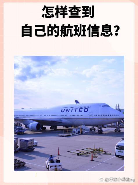 别人订机票自己能查到吗