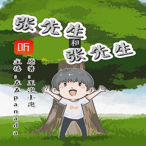 虚无的焦点《张先生与张先生》