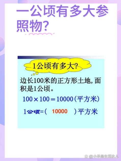 二万等于多少公顷