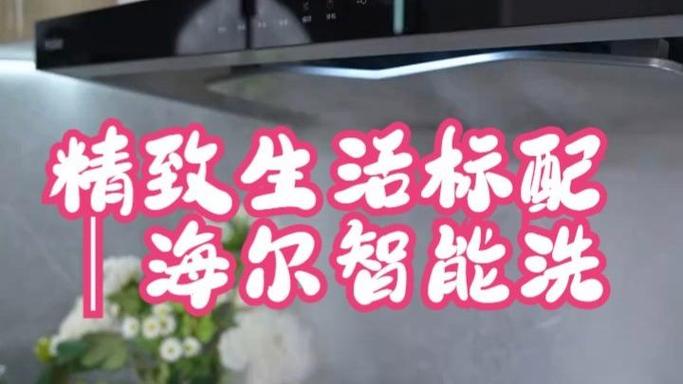 海尔油烟机清洗