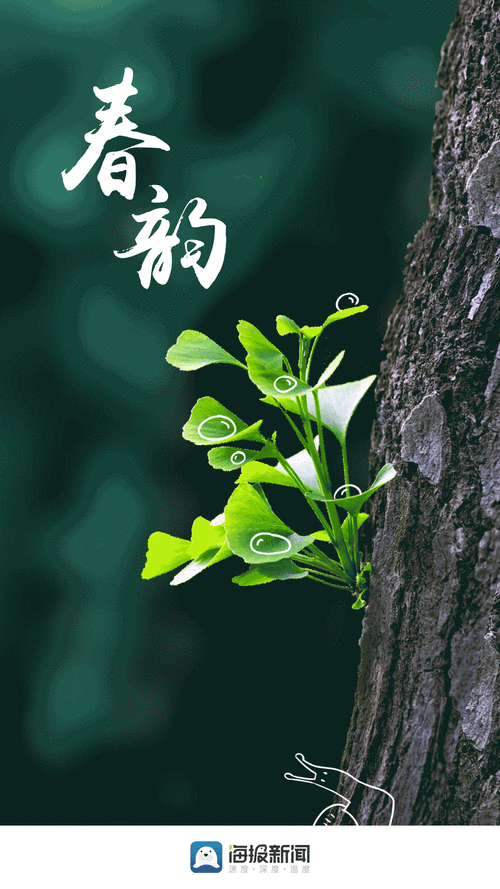 3d动态壁纸手机壁纸