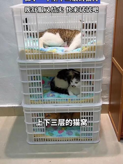 纸箱做的猫窝