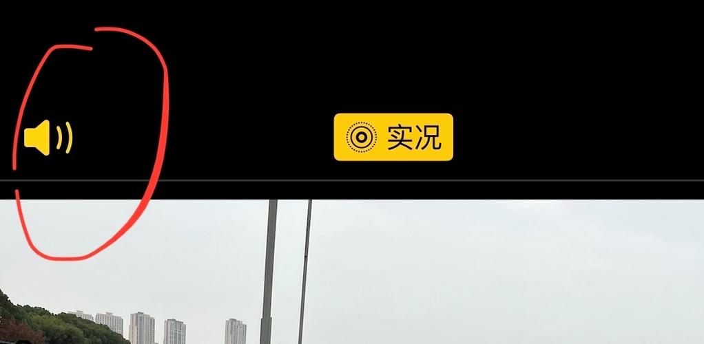 为什么实况照片没声音