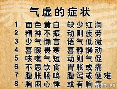 气虚是哪个器官不好