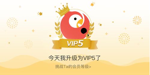 全民k歌vip5是5年吗