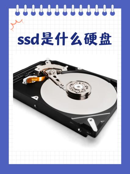 ssd是什么意思