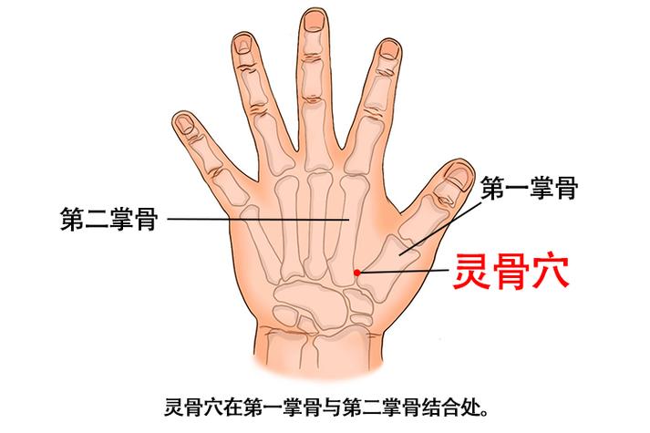 灵骨大白位置怎么找