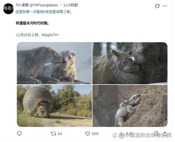 冰河剧集老婆的妹妹