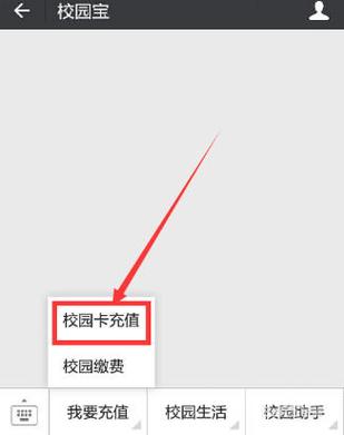 校园一卡通充值