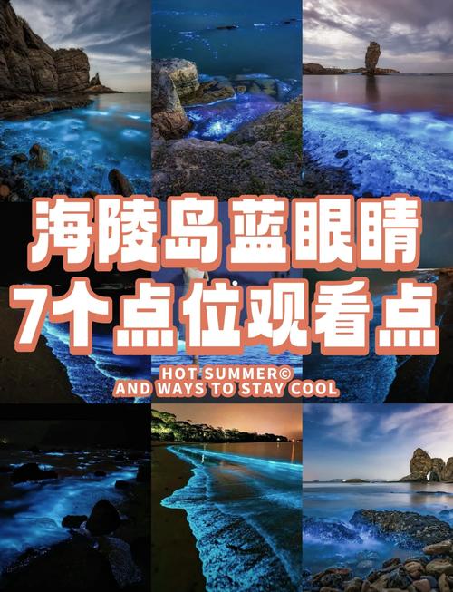海贼王同人游戏一片海望汉化