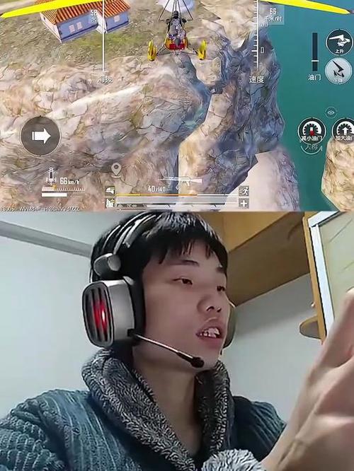 和平精英鲨鱼sdy