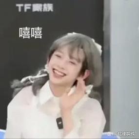 TF家族四代搞笑名场面