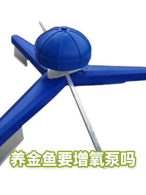 养金鱼要一直开氧气泵吗