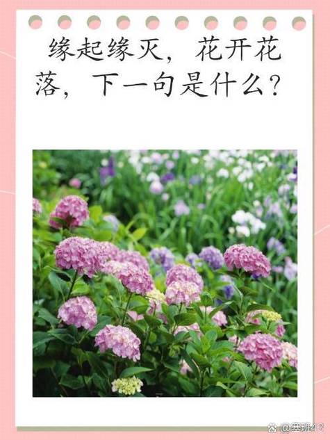 缘分全篇全文