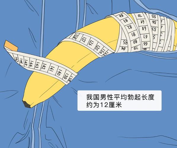 男性生育器官长度多少为标准
