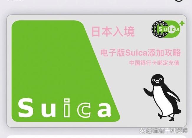 西瓜卡网
