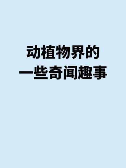植物女孩虫虫入侵1.9版本特色