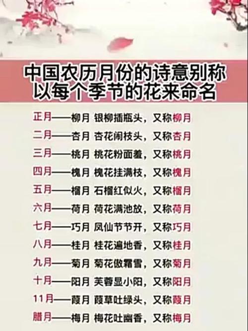 五月别称和雅称