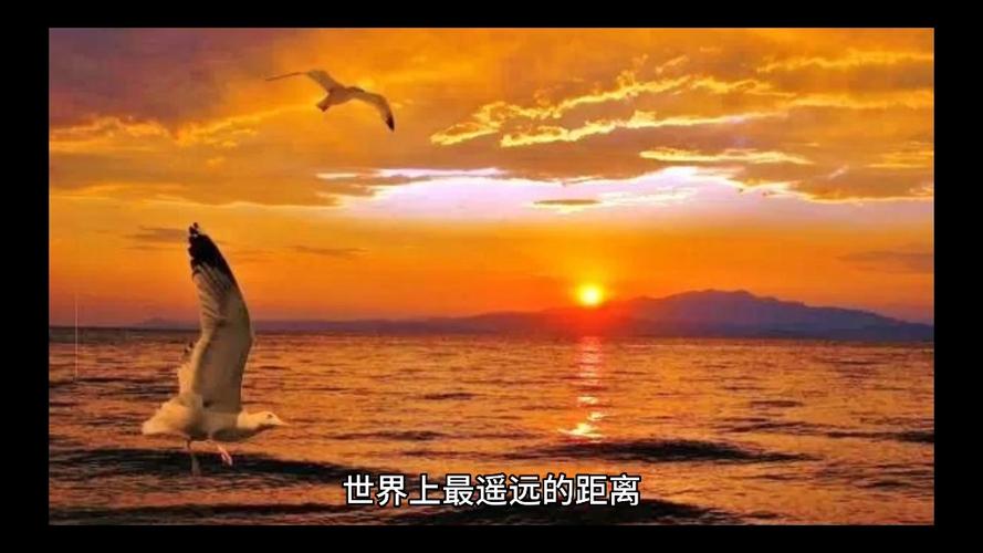 你的世界我高攀不起,我的世界也没有