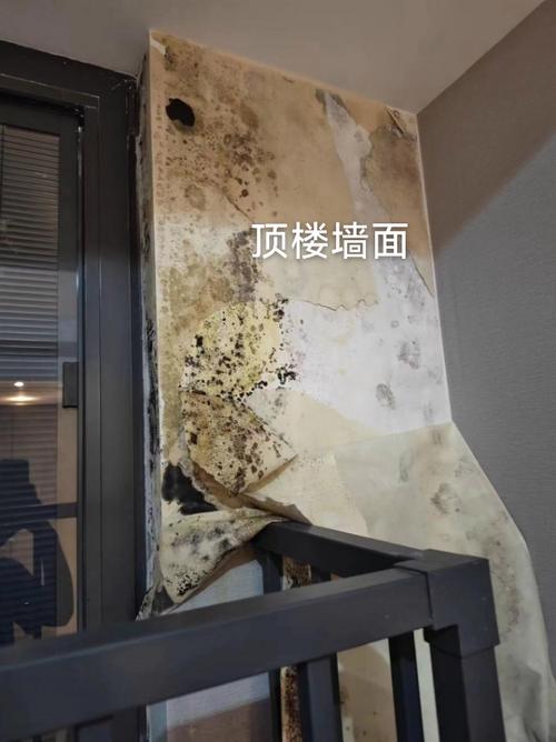 壁纸墙面发霉怎么处理
