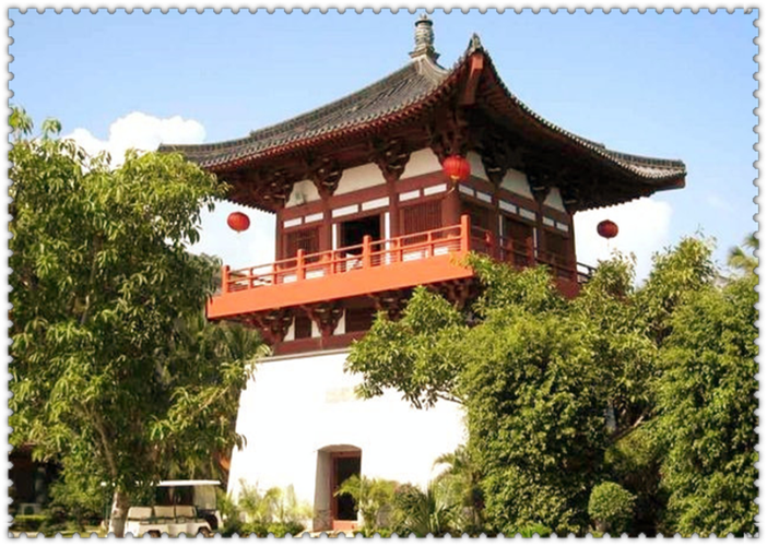 池内遥个人简历