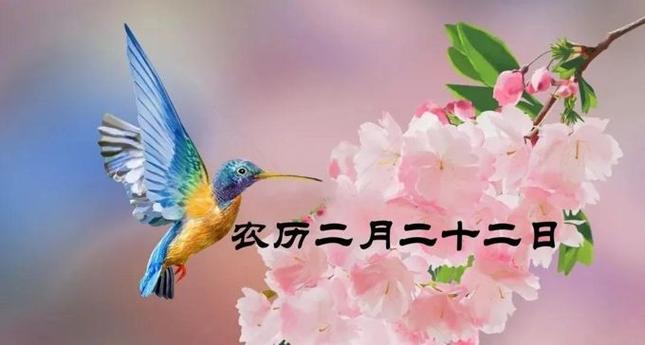 二月廿二怎么读