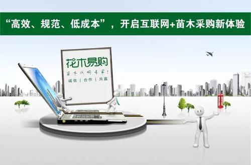 苗木采购网