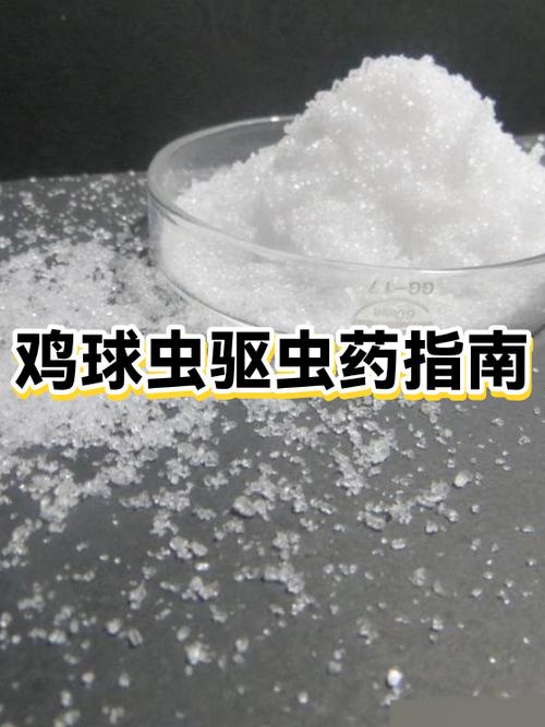 球虫环境怎么消毒
