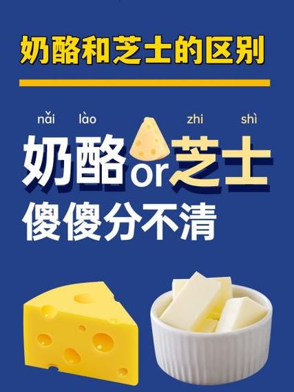 乳酪和芝士是一个东西吗