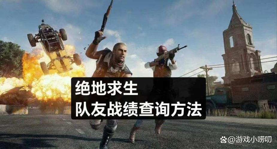 吃鸡怎么看历史战绩队友资料