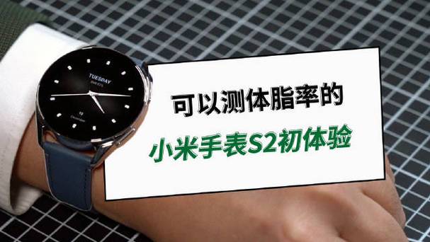 身体成分测量失败小米