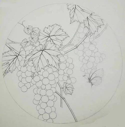 葡萄绘画作品大全图片